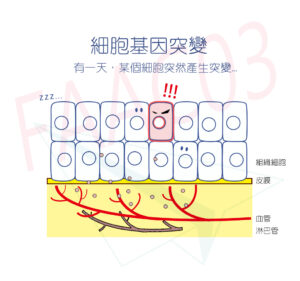 FAAC和癌症