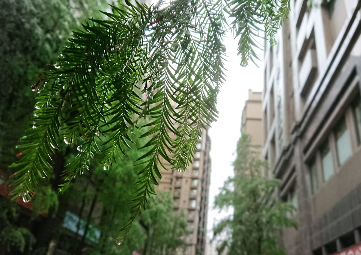 帕金森氏症(Parkinson's disease, PD)