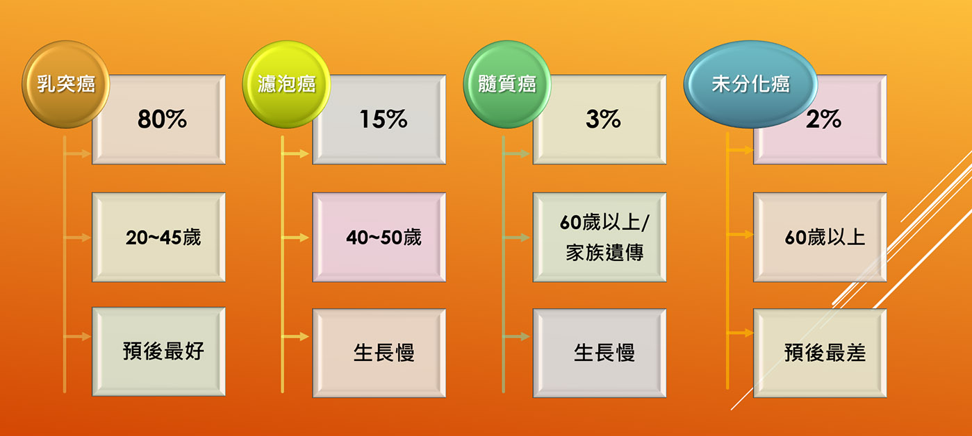 甲狀腺癌分類