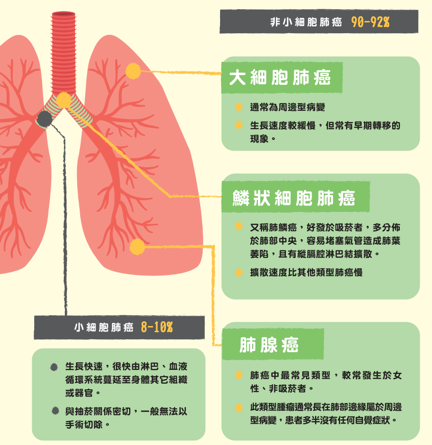 肺癌種類及發生位置