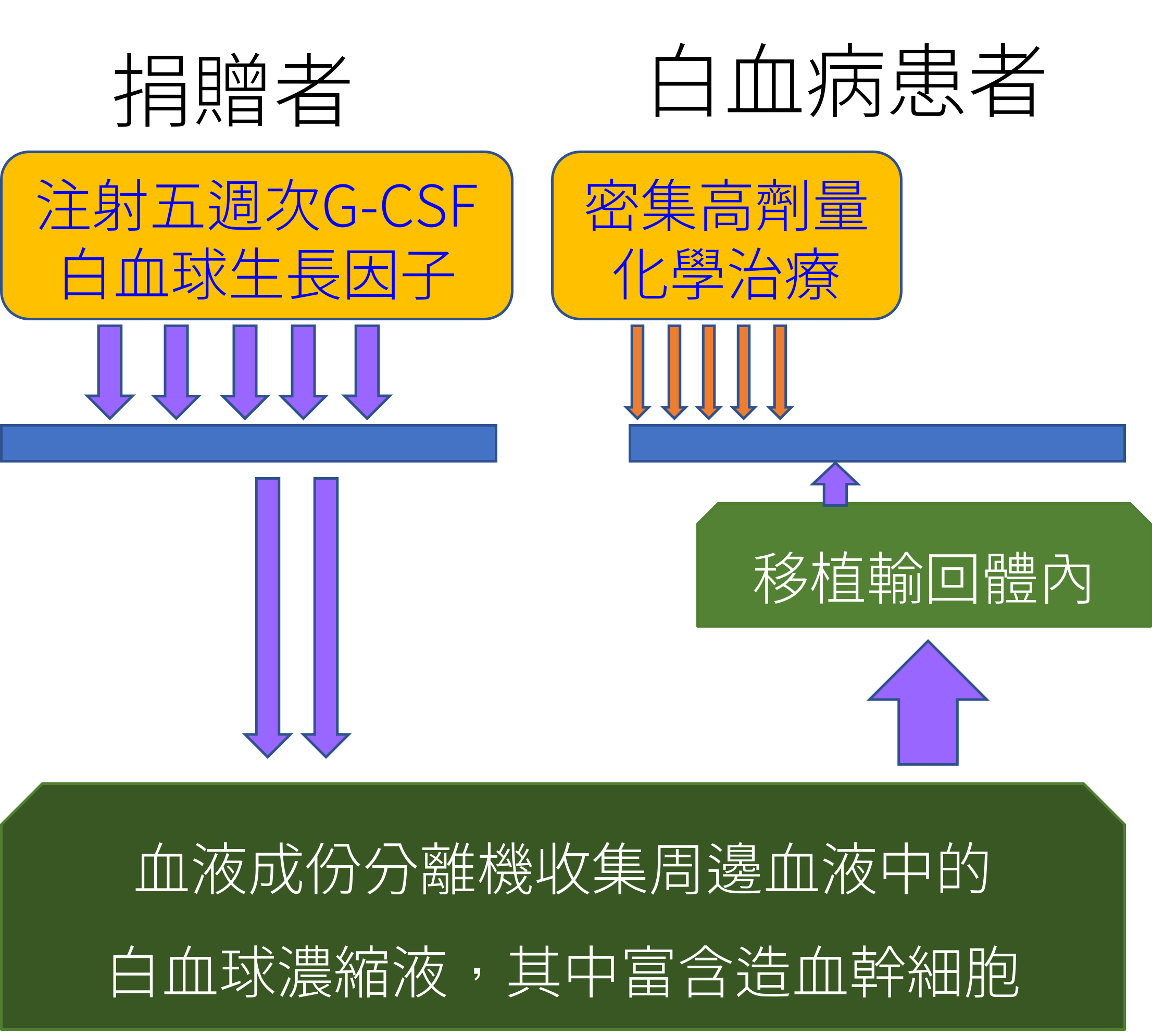 白血病 Leukemia 異體造血幹細胞移植