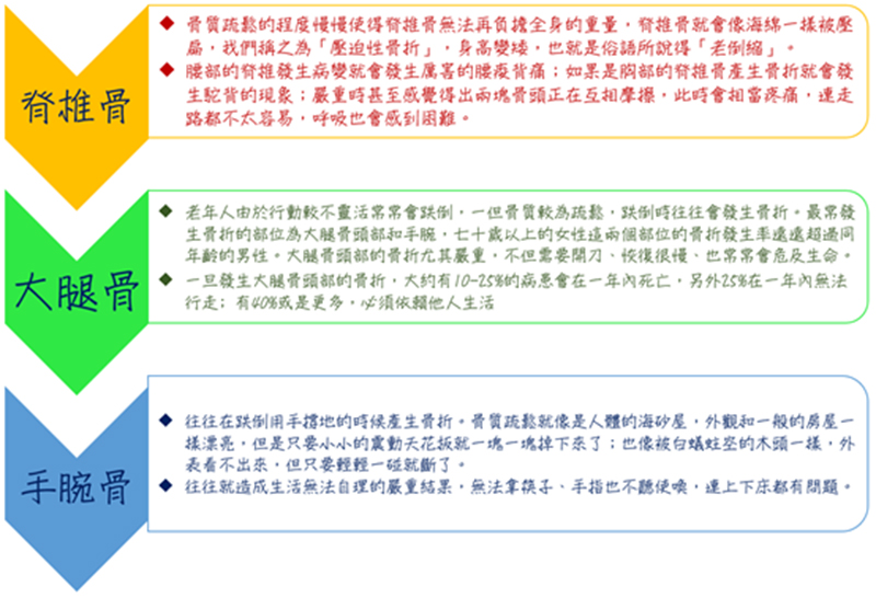 骨質疏鬆可能骨折部位